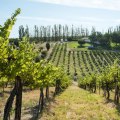 Exploring Southwest Idaho: A Closer Look